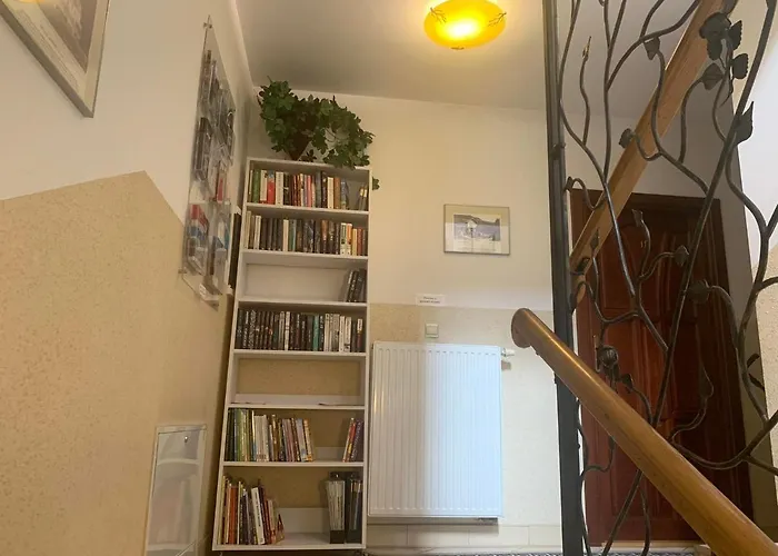 Nad Brzozkami Шавница